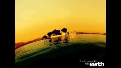 the Beach - Underworld - 8 Ball