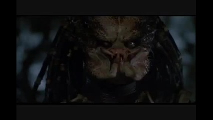 Predator - Mix