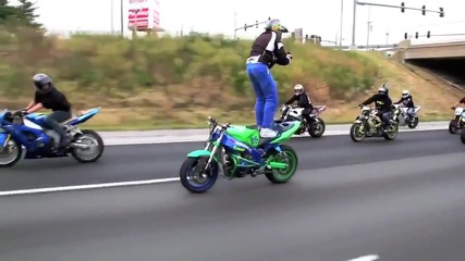 лудоста може би е тва !
