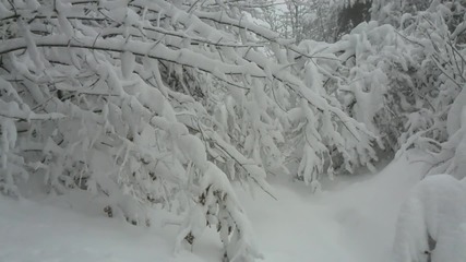 17.1.2016г. - Изкачване п.ел.стълбове в снежно време- към вадата