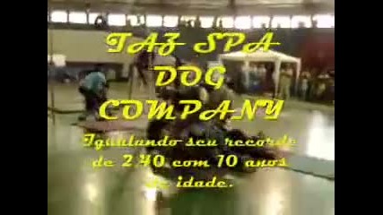 Spa Dog Company - The Pit Bull Home 