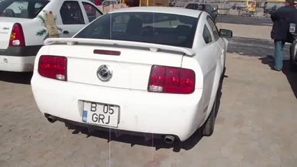 Ford Mustang Gt California Special (hq) 