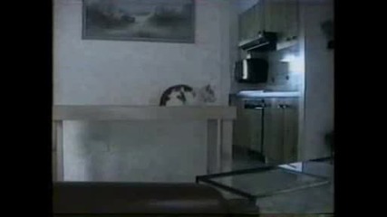Funny Сats