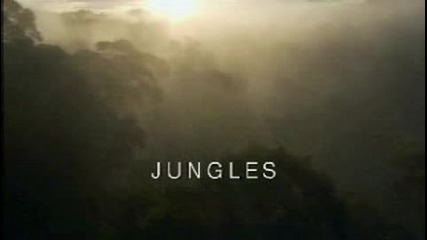 Bbc - Planet Earth 08 Jungles Trailer