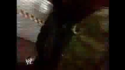 Wwe Lita 4