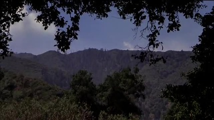 Мотел Ад (1980)