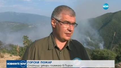 Стотици декари гора пламнаха в Пирин