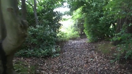 ВИДЕО: Английски аристократизъм за Лудогорец край Манчестър