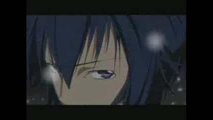 Shugo Chara - Amu X Ikuto
