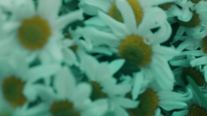 Вътре - Кудрет Сюнмез Teaser - Бг Субтитри - Високо Качество