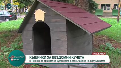 В Перник правят къщички за бездомни кучета
