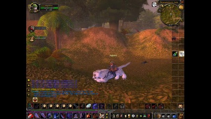 World Of Warcraft