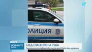 След спасение на ръба: Родителите на оставените без надзор деца в Ямбол бяха задържани