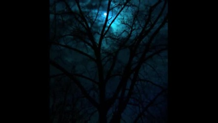 Kalmah Moon of my Nights Bg subs