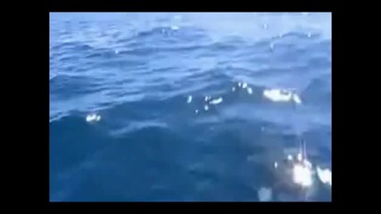 Richard Clayderman - Dolphin