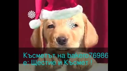 Късметът на bakero76986 е: