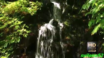 Relaxing Music & Beautiful Nature part 11 1080p Hd