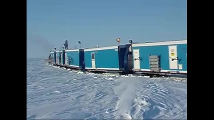 Cat train 