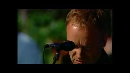 Sting Fragile