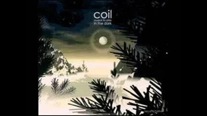 Coil - The Dreamer is Still Asleep (music to Play in the Dark)