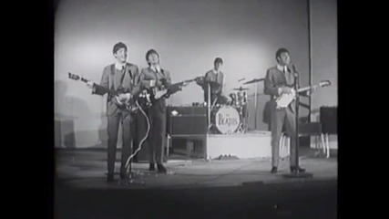 The Beatles - She Loves You