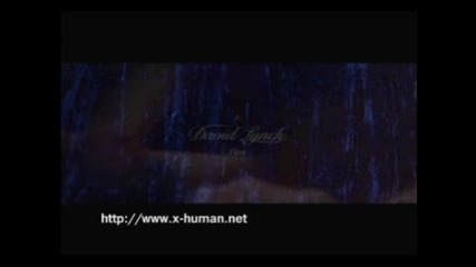 Blue Velvet In Dreams Trailer