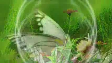 Johann Strauss - Voces de Primavera - (butterfly)