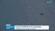 След смъртта на 8 лешояда: Природозащитници искат спешни законови промени
