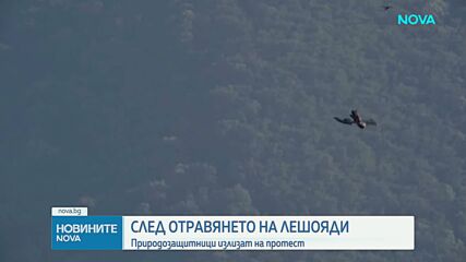 След смъртта на 8 лешояда: Природозащитници искат спешни законови промени