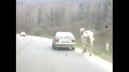 България - тук всичко е възможно...