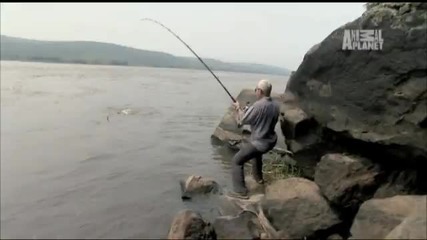 Хващане На 80кг пираня