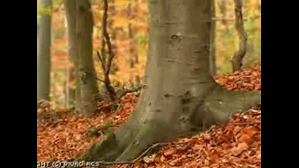 Защо?