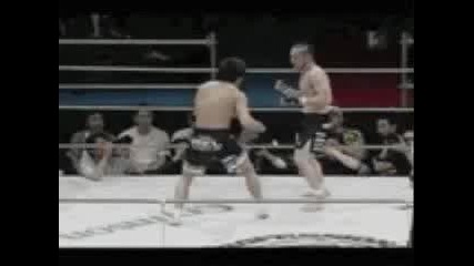 Boxing life 2009 