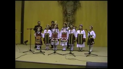 Дфг Перуника гр. Шумен