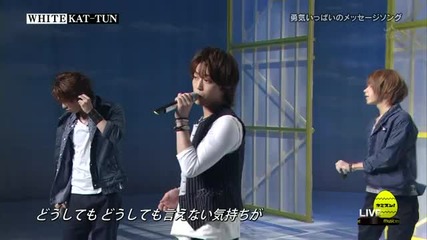 kattun White live