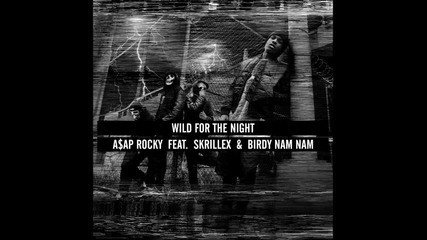 A$ap Rocky - Wild For The Night feat. Skrillex and Birdy Nam Nam ( A U D I O )