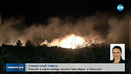 Потушиха пожара край Трявна