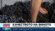 Производители на вино в Аржентина залагат на био подход на фона на спад в потреблението
