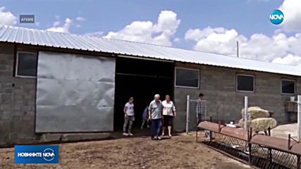 БСП поиска прокуратурата да се заеме с Агенцията по храните