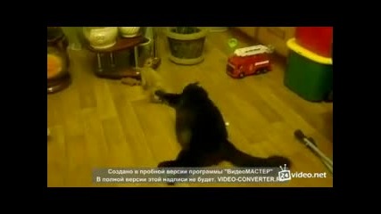 Кученце за една хапка
