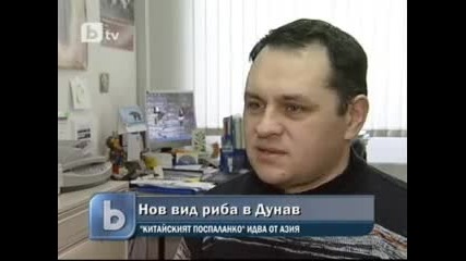 вид риба се появи в Дунав