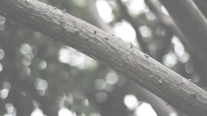Moby - The Poison Tree