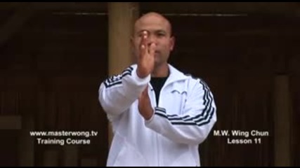 Wing Chun lesson 5 basic hand exercise static triple punch