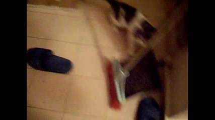 Котка на хлъзгав под