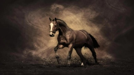 Индиански фолклор - Crazy Horse