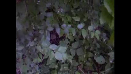 Samara - Remade Movie Trailer