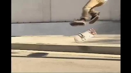 element skateboarding