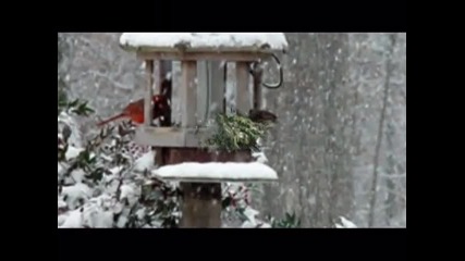 Зимна приказка 2011г