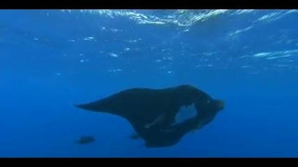 Vocal Trance Mix - Amazing ( Ocean) - 2010