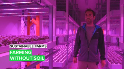 Sustainable Farms: The basil farm of the future is in Italy